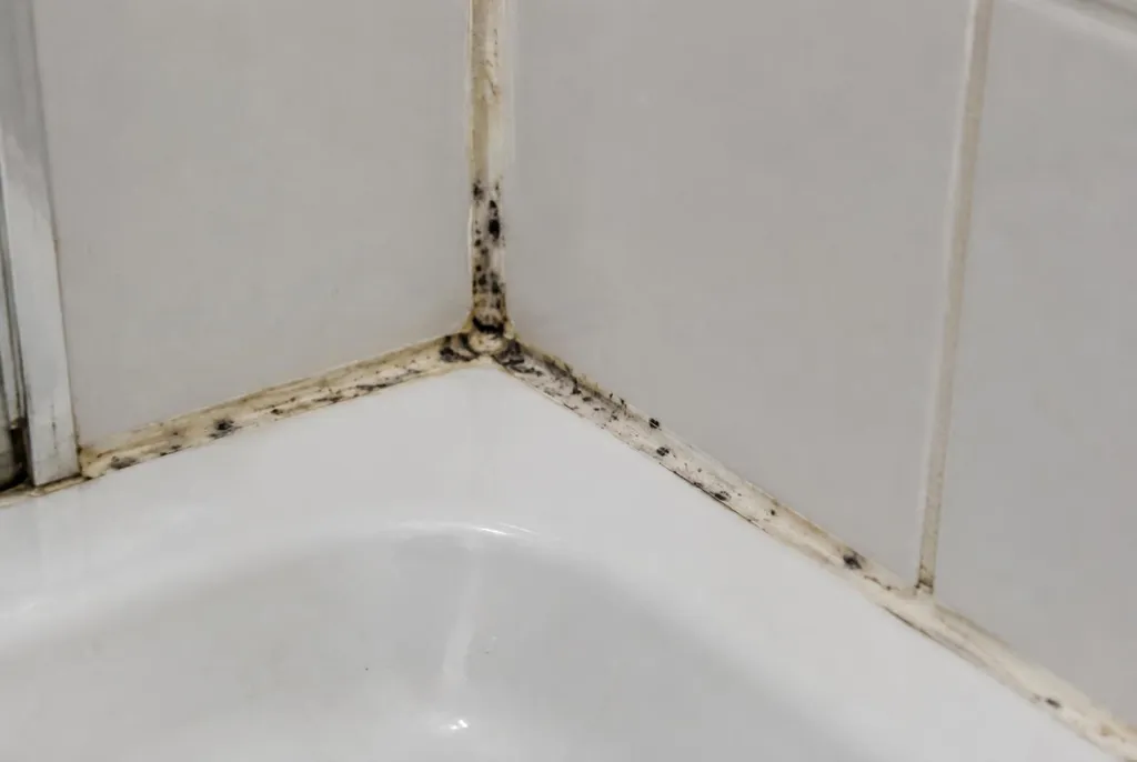 Kitbedrijf Westbroek – beschimmelde kitranden